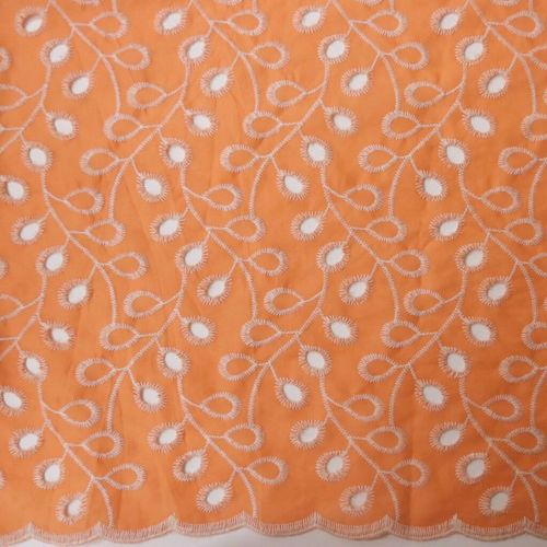 LAISE BICO BICOLOR LEAVES